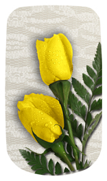 DAROYAL-059 2 Roses Yellow